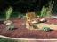 Provided by Country Landscapes & Tree, LLC, Ashford 