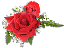 rose.gif