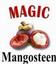 Provided by MAGIC Mangosteen *4 Life | Mangosteen Benefits, Los Angeles 