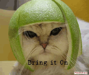 Bring It On by Xactli.com, LLC Oro Valley 85737 