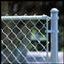 fence pic 3.jpg