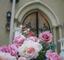 Divine Weddings