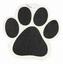 Provided by Angie's Pet Grooming, Gadsden 