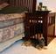 Provided by Spectacularpetstuff.com, LLC, Shreve 