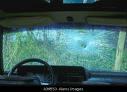  by Accurate Auto Glass Sacramento 95825 