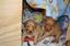 Provided by Golden Gate Retrievers, Genesee 