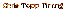 chris topp tinting logo_full.gif