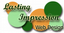 Lasting Impression Web Design -...
