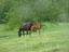 Provided by Betty Norton, Alexandria 