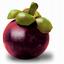 Fruit01.jpg