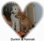 Provided by PAWS-atively Pet Sitting, Albrightsville 