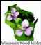 Wisconsin Gourmet Gifts and Treasures LLC