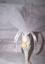 Provided by Orelencias Creations LLC, Cleveland 