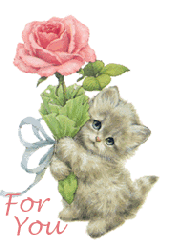 5393066659-66251174.gif