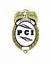 Provided by Professional Consulting and Investigations, Cleveland 