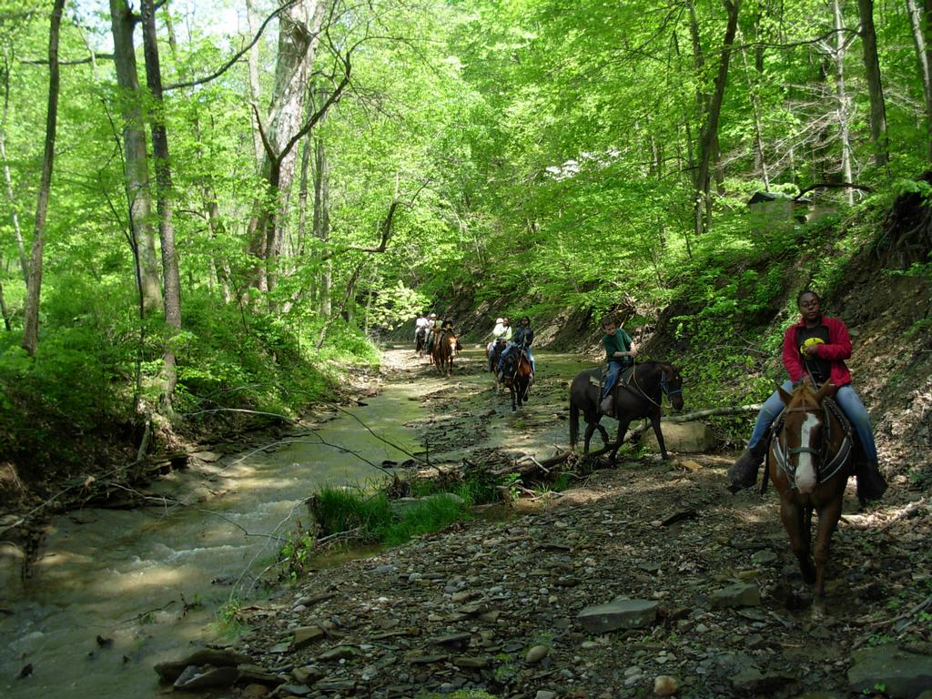 Skyview Ranch Millersburg OH 44654 3306747511