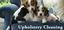 Steam Master Carpet Cleaning San Antonio