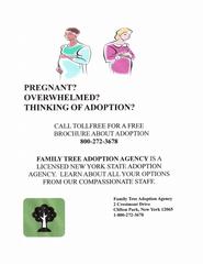 Family Tree Adoption Agency - Clifton Park, NY