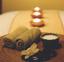 Bridal airbrush makeup southern california