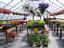 Provided by The Bars Farm Stand, Deerfield 