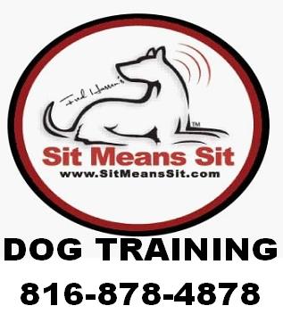 Sit Means Sit Dog Training Prices Sit Means Sit Dog Training Prices