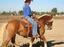 Provided by Kacey Sport Ponies, Sacramento 