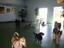 Dogg Days Doggie Day Care