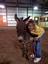 Provided by Jennifer Louw Stables, LLC, Cumming 