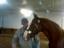 Provided by Jennifer Louw Stables, LLC, Cumming 