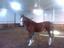 Provided by Jennifer Louw Stables, LLC, Cumming 