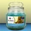 Great Scents 4 You