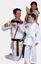 Provided by Karate for Kids, Mesa 