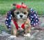 Provided by Touch A of Nature Puppies Grooming Petboutique, Ruston 