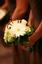 The Cutting Garden LLC