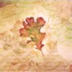 White Oak Counseling - Memphis, MO