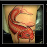 The Painted Bird - Medford, MA