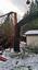 Provided by Arbor Barber Tree Service, Mountlake Terrace 