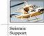 Provided by Southern Helicopters Inc, Sunshine 