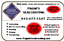 Pagni's Sealcoating
