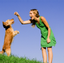 Provided by Gully Animal Hospital, Arlington 