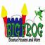 Big Frog Bounce Houses and More