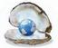 Pearl Transportation Inc