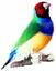 Texas Pride Aviary