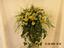 Provided by Moms Flower Shop, Shoshone 