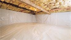 Dryzone, LLC - Milton, DE