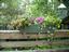 Forever Flower Containers