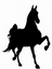 horse 2.gif