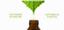 Young Living Essential Oils Distributor