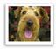 ... Provided by Data Dog Interactive ...