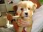 Provided by Itzazoo Pet Sititng, Astatula 